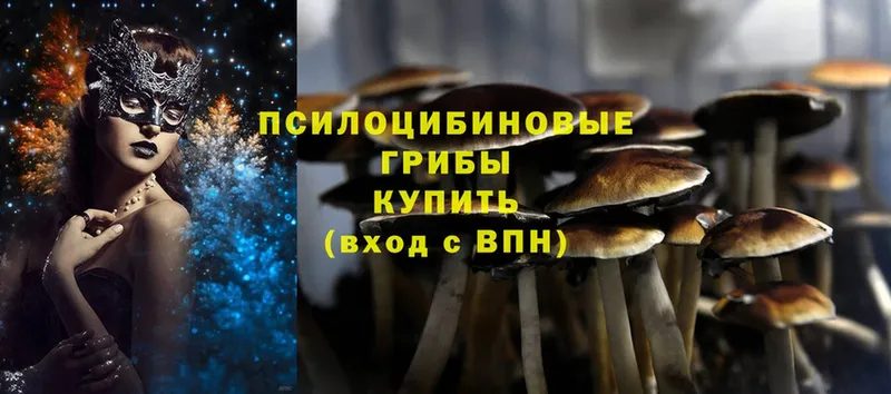 Галлюциногенные грибы Psilocybine cubensis  Белая Калитва 